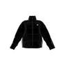 Women Adicolor Puffer Jacket, Black, A701_ONE, thumbnail image number 12