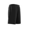 Men Graphics Camo Stripe Shorts, Black, A701_ONE, thumbnail image number 5