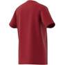 Unisex Kids Big Logo Cotton T-Shirt, Red, A701_ONE, thumbnail image number 13