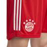 Men Fc Bayern 23/24 Home Shorts, Red, A701_ONE, thumbnail image number 4