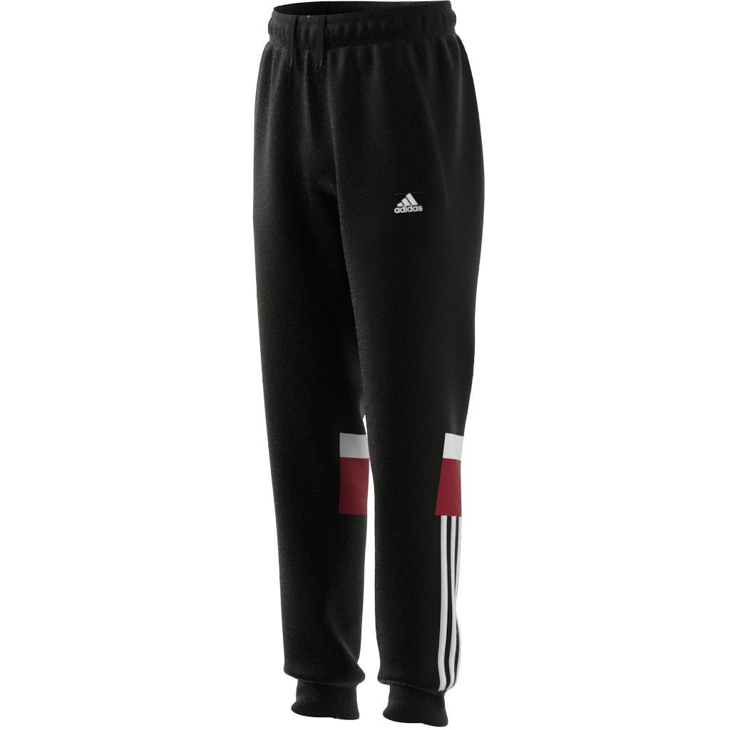 Kids Unisex Tiberio 3-Stripes Colorblock Fleece Joggers Kids, Black, A701_ONE, large image number 5