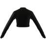 Women Lounge Ribbed Crop Long-Sleeve Top, Black, A701_ONE, thumbnail image number 11