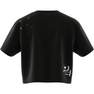 Women Scribble Embroidery Crop T-Shirt, Black, A701_ONE, thumbnail image number 8