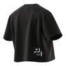 Women Scribble Embroidery Crop T-Shirt, Black, A701_ONE, thumbnail image number 13