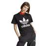 Women Adicolor Classics Trefoil T-Shirt, Black, A701_ONE, thumbnail image number 9