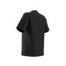 Women Adicolor Classics Trefoil T-Shirt, Black, A701_ONE, thumbnail image number 12
