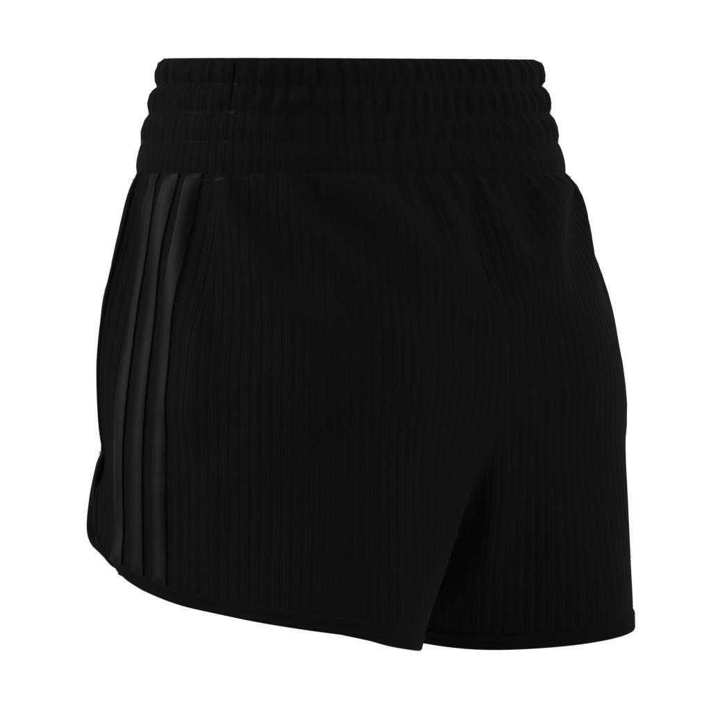 Pacer All Gym Seasonal Rib High-Rise Tonal 3-Stripes Shorts, Multicolour, , large image number 5