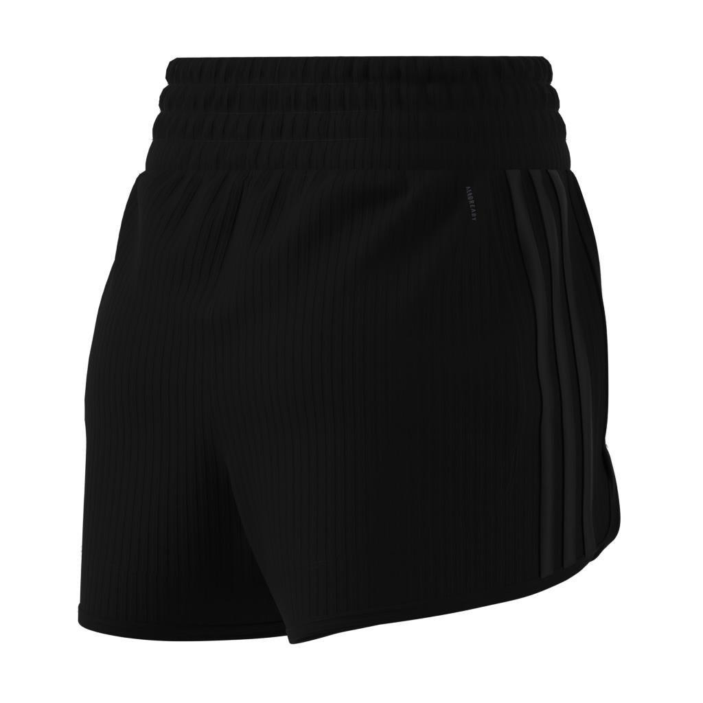 Pacer All Gym Seasonal Rib High-Rise Tonal 3-Stripes Shorts, Multicolour, , large image number 13