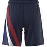 Kids Unisex Fortore 23 Shorts, Blue, A701_ONE, thumbnail image number 12
