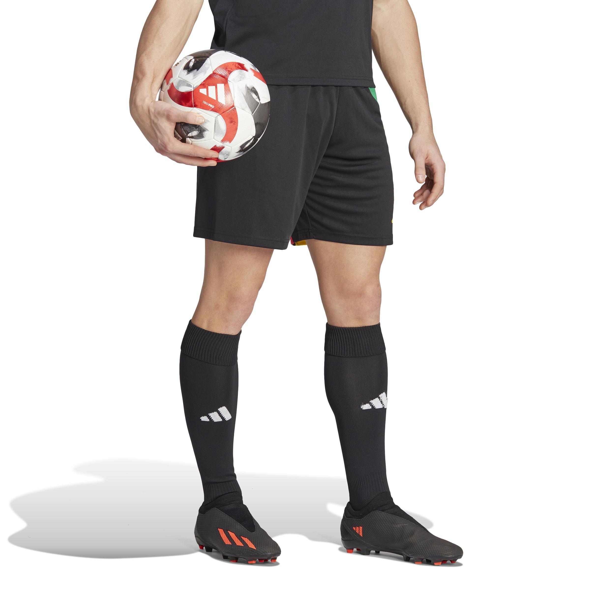 Fortore 23 Shorts, Black, , large image number 5