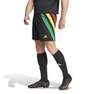 Men Fortore 23 Shorts, Black, A701_ONE, thumbnail image number 14