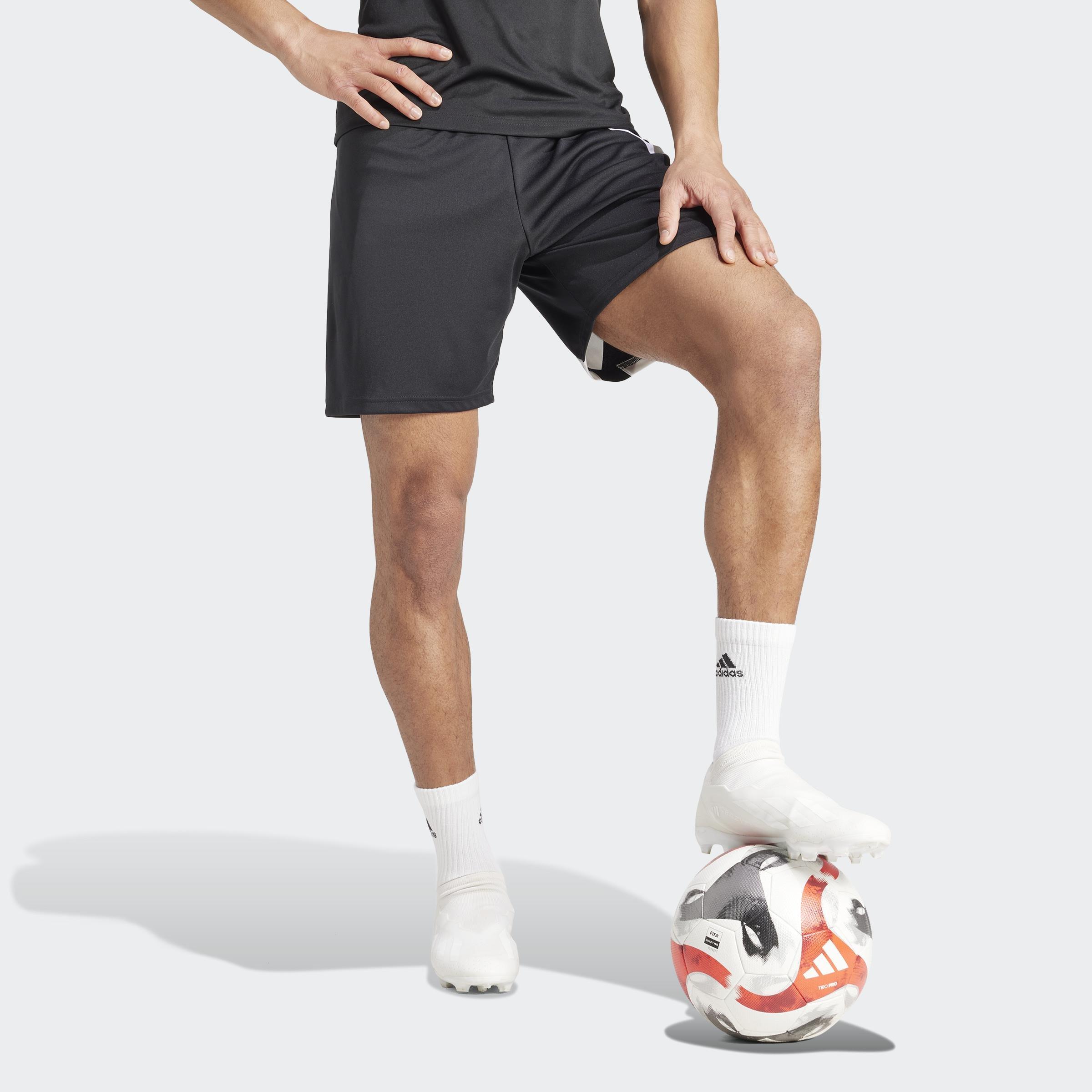 Fortore 23 Shorts, Black, A701_ONE, large image number 7