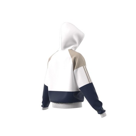 Men Blocked Hoodie, White, A701_ONE, large image number 8