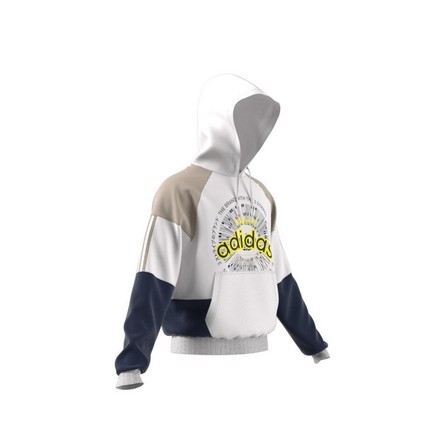 Men Blocked Hoodie, White, A701_ONE, large image number 13