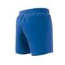 Kids Boys Classic Badge Of Sport Swim Shorts, Blue, A701_ONE, thumbnail image number 9