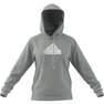 Women Future Icons Badge Of Sport Bomber Hoodie, Grey, A701_ONE, thumbnail image number 15