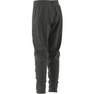 Kids Unisex Adidas Z.N.E. Tracksuit Bottoms, Grey, A701_ONE, thumbnail image number 12