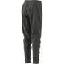 Kids Unisex Adidas Z.N.E. Tracksuit Bottoms, Grey, A701_ONE, thumbnail image number 13