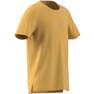Kids Boys Training Aeroready T-Shirt, Orange, A701_ONE, thumbnail image number 7