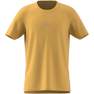 Kids Boys Training Aeroready T-Shirt, Orange, A701_ONE, thumbnail image number 12
