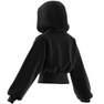 Women By Stella Mccartney Sportswear Cropped Hoodie, Black, A701_ONE, thumbnail image number 12