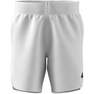 Men Z.N.E. Premium Shorts, White, A701_ONE, thumbnail image number 15