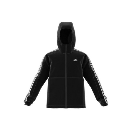 Men Essentials 3-Stripes Insulated Hooded Jacket, Black, A701_ONE, large image number 8