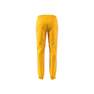 Women Montreal Track Trousers, Gold, A701_ONE, thumbnail image number 7