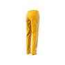 Women Montreal Track Trousers, Gold, A701_ONE, thumbnail image number 8