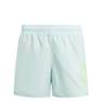 Kids Boys Sportswear Essentials Logo Clx Swim Shorts, Green, A701_ONE, thumbnail image number 1