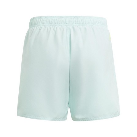Kids Boys Sportswear Essentials Logo Clx Swim Shorts, Green, A701_ONE, large image number 2