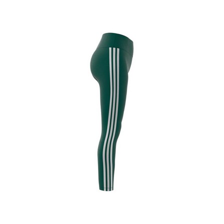 Women 3-Stripes Leggings, Green, A701_ONE, large image number 11