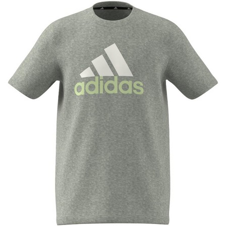 Unisex Kids Essentials Two-Colour Big Logo Cotton T-Shirt, Grey, A701_ONE, large image number 6
