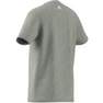 Unisex Kids Essentials Two-Colour Big Logo Cotton T-Shirt, Grey, A701_ONE, thumbnail image number 12
