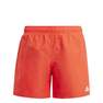 Kids Boys Classic Badge Of Sport Swim Shorts, White, A701_ONE, thumbnail image number 1