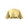 Women Essentials+ Crop Top, Yellow, A701_ONE, thumbnail image number 9