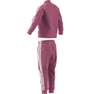 Unisex Kids Adicolor Sst Tracksuit, Pink, A701_ONE, thumbnail image number 6