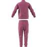 Unisex Kids Adicolor Sst Tracksuit, Pink, A701_ONE, thumbnail image number 10
