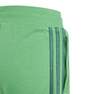 Unisex Kids Vrct Shorts, Green, A701_ONE, thumbnail image number 4