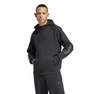 Men Graphic Hoodie, Black, A701_ONE, thumbnail image number 12