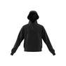 Men Graphic Hoodie, Black, A701_ONE, thumbnail image number 14