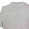 Kids Unisex Vrct T-Shirt, Grey, A701_ONE, thumbnail image number 4