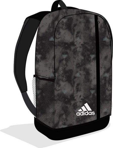 Unisex Linear Graphic Backpack, Black, A701_ONE, large image number 0