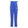 Kids Unisex Pitch 2 Street Messi Tracksuit Bottoms, Blue, A701_ONE, thumbnail image number 13