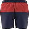 Men Colourblock Clx Swim Shorts, Blue, A701_ONE, thumbnail image number 6