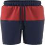 Men Colourblock Clx Swim Shorts, Blue, A701_ONE, thumbnail image number 10