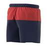 Men Colourblock Clx Swim Shorts, Blue, A701_ONE, thumbnail image number 13