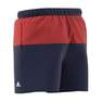 Men Colourblock Clx Swim Shorts, Blue, A701_ONE, thumbnail image number 14