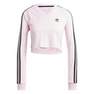 Women Long Sleeve Cropped Jersey, Pink, A701_ONE, thumbnail image number 0