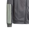 Kids Boys Sereno Tracksuit Kids, Grey, A701_ONE, thumbnail image number 5